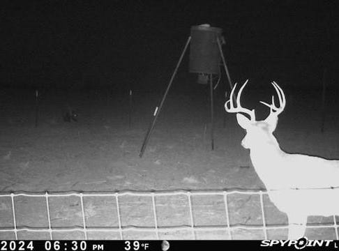 Tbd FM 1919, Seymour, TX 76380