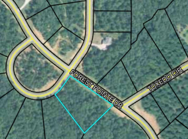 207 Forest Pointe Drive, Forsyth, GA 31029