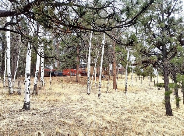 103 Adair Circle, Florissant, CO 80816
