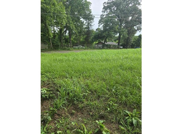 800 Webb, Daingerfield, TX 75638