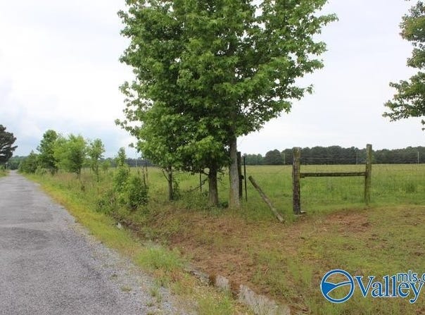 4000 County Road 400, Grove Oak, AL 35975