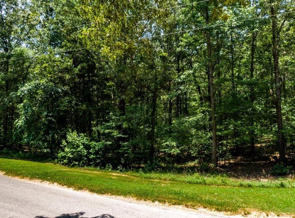 334 LOGGER Lane, Cedar Grove, TN 38321