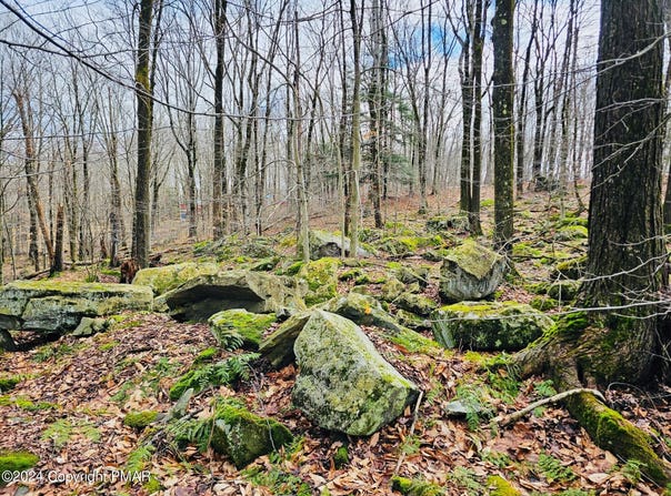 Lot 23 R Lakewood Court, Canadensis, PA 18325