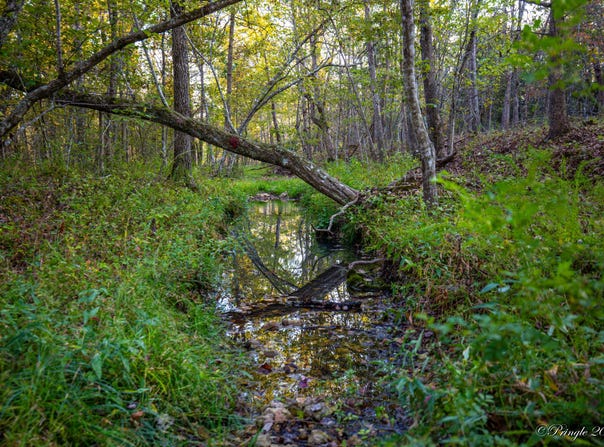 Co Rd 1990, Willow Springs, MO 65793