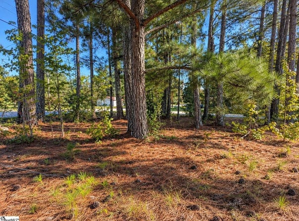 W Centennial Street, Clinton, SC 29325