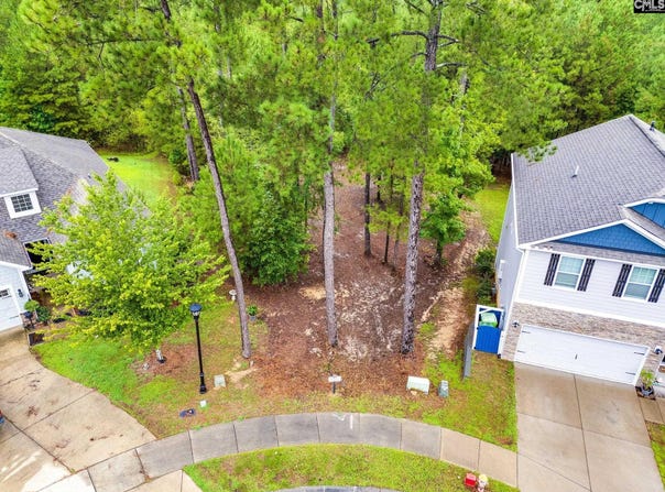 794 CAROLINA ASTER Drive, Blythewood, SC 29016
