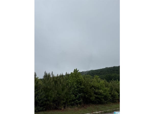 400 RODGERS WAY lot: 75 Acres, LEEDS, AL 35094