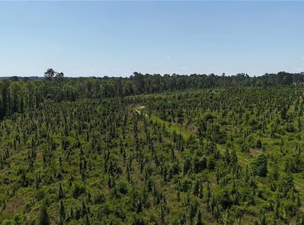 0 Deer Run Road, Other, GA 30474