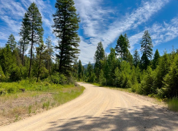 3124 ORIENT CUTOFF RD, ORIENT, WA 99160