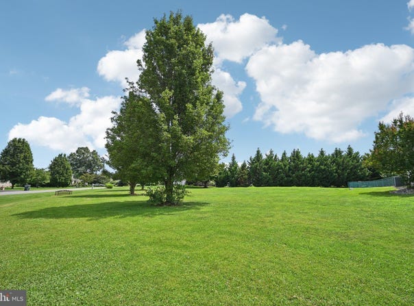315 BEECH LANE, MIDDLETOWN, DE 19709