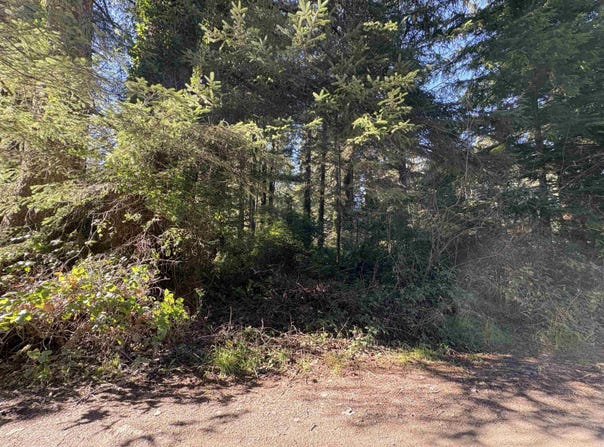 925 Monopoly Lane, Crescent City, CA 95531