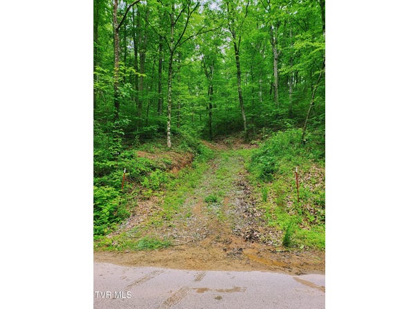 2065 Dyer Hollow Road, Mohawk, TN 37810
