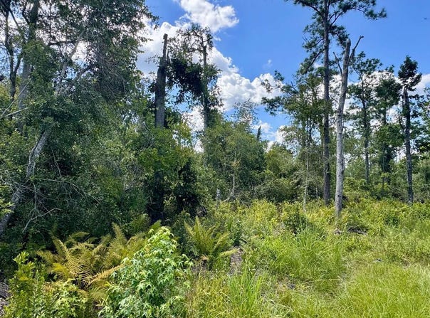 LOT71 NW CR 152, Jennings, FL 32053