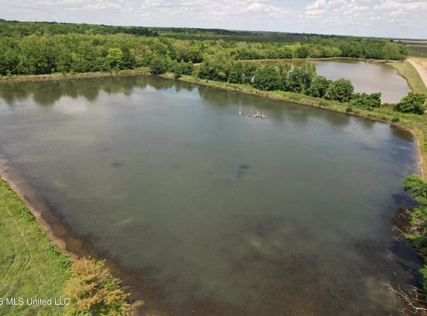 Jenkins Road, Alligator, MS 38720
