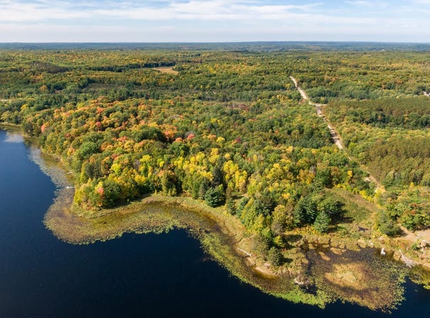 Turtle Lake Drive NW lot: 2, Walker, MN 56484