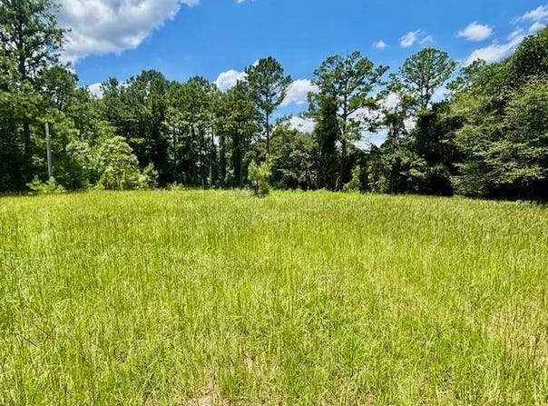 26489 Point A Isle Rd, Andalusia, AL 36421