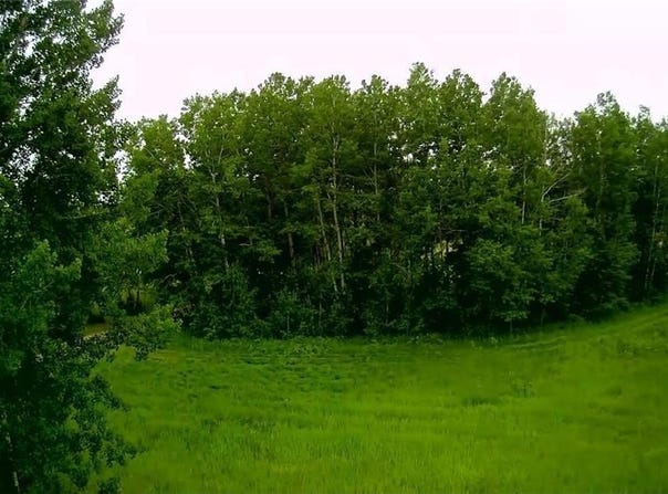 Parcel B Klondyke Road, Ironton, MN 56455
