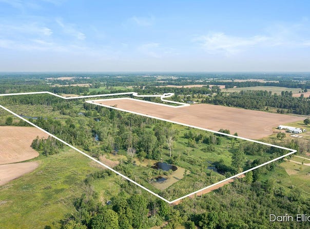 V/L Stevenson Road, Fenwick, MI 48834