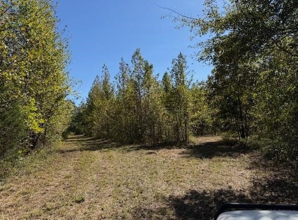83 HAYS Rd, Moscow, TN 38057