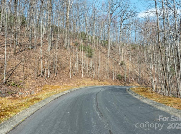 0 Shining Rock Path 11, Horse Shoe, NC 28742