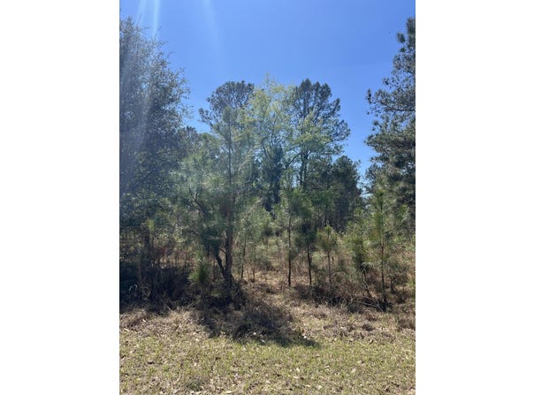708 Kingstown Road, Sardis, GA 30456