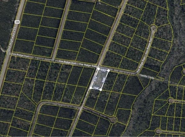 V/L 40 Fox, Waynesville, GA 31566