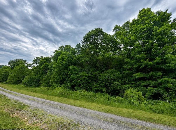 Iron Horse Lane lot: 6, Dryfork, WV 26263