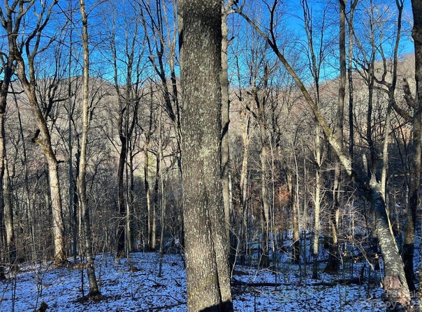El Miner Drive unit: 551, Mars Hill, NC 28754