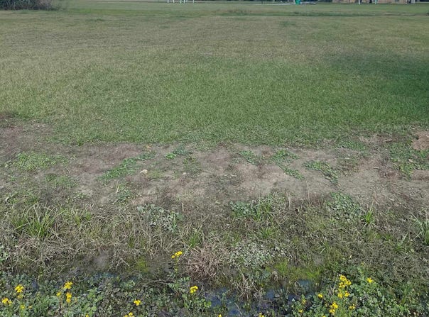 Lot 14 Roy St, Plattenville, LA 70393