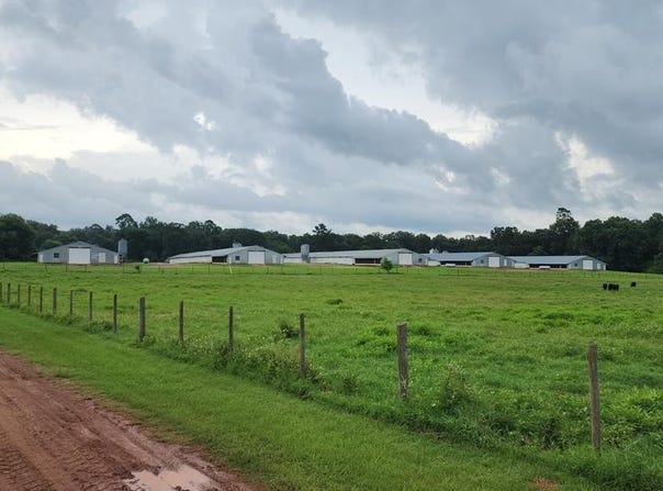 Nacogdoches, TX 75901