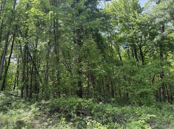 V/L New Bailey Drive NE, Ada, MI 49301