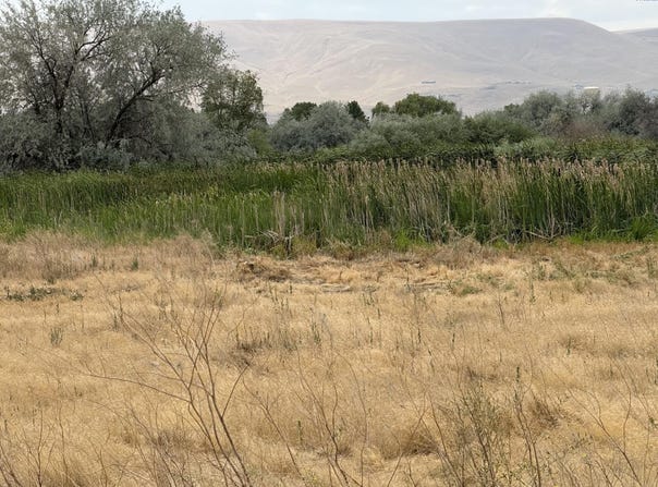 Tbd Patricia RD, Prosser, WA 99350