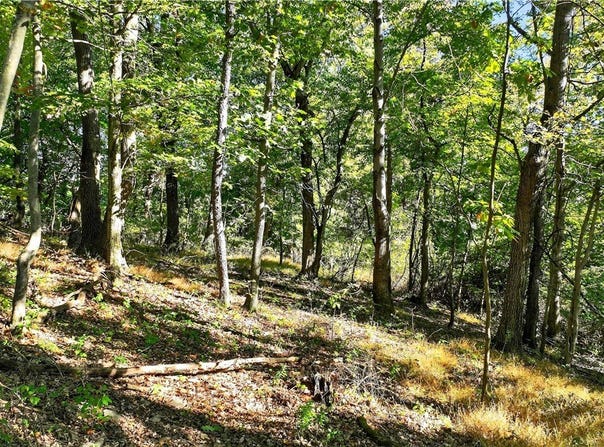 Lot Dover Crest, Nottingham, PA 15330
