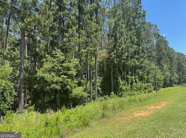 Lot 4 Matthews, Tennille, GA 31089