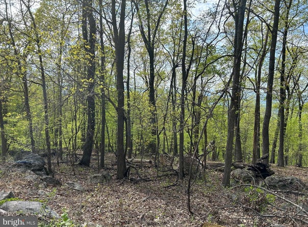 0, CHESTER GAP, VA 22623