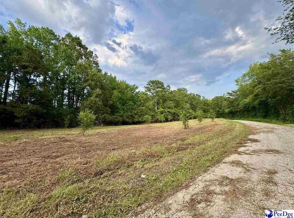 3.40 +/- Freeman Loop Road, Chesterfield, SC 29709
