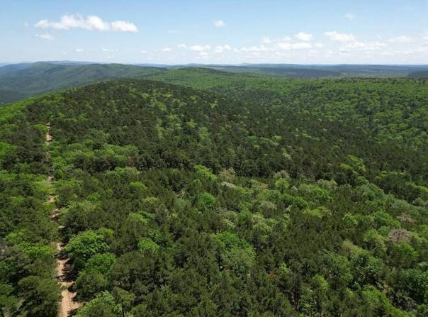 TRACT 38 PIN OAK PATH, Albion, OK 74571