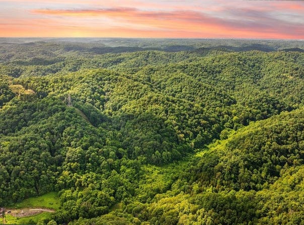 0 Sycamore Creek Road, Jamestown, KY 42629