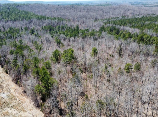 CR 200, Pittsboro, MS 38951
