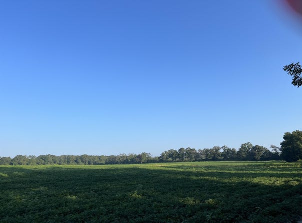3915 3rd Avenue, Laurel Hill, FL 32567