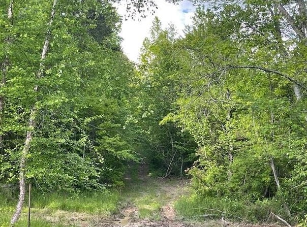 3717 Hwy 830, Gray, KY 40734