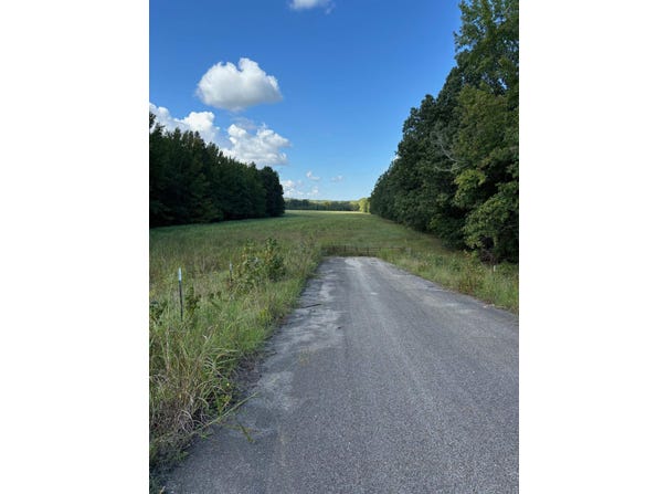 45.85 acres Hwy 141, Jonesboro, AR 72401