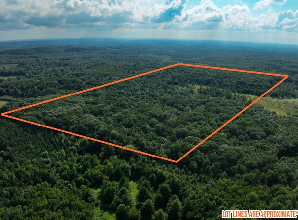 0000 Heintown Road, Willard, WI 54493