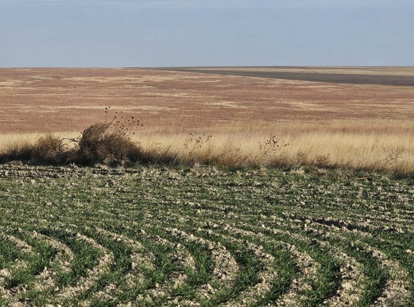 001 County Road, Wallace, KS 67761