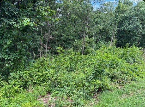 Lot 2 Baltes  DR, Bella Vista, AR 72714