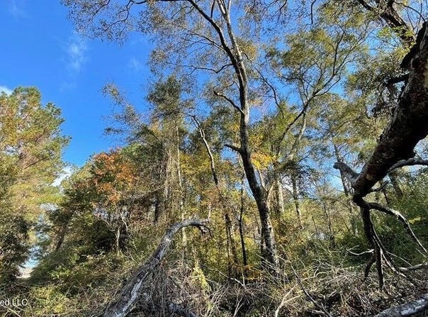 Schmidt Road, McComb, MS 39648
