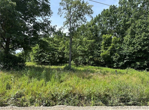Lot 2r Lick Creek Road, Edwards, MO 65326