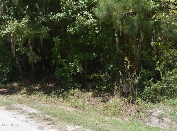 Cypress Drive lot: 21, Blounts Creek, NC 27814