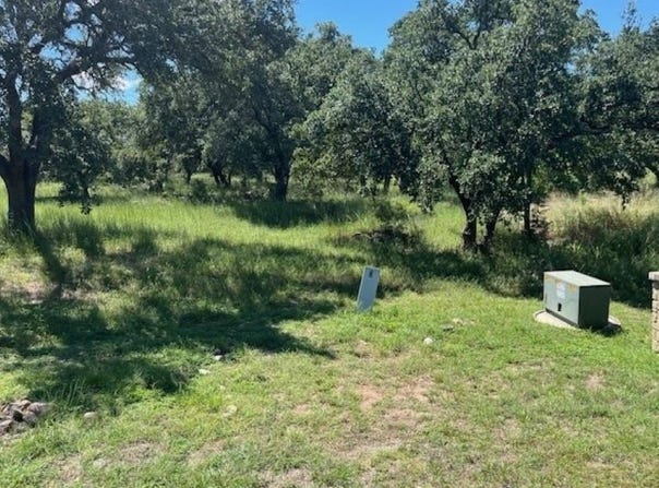 W1114 Blister Gold, Horseshoe Bay, TX 78657