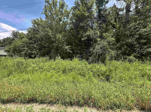 0.53 Acres Split Log Rd, St Amant, LA 70774